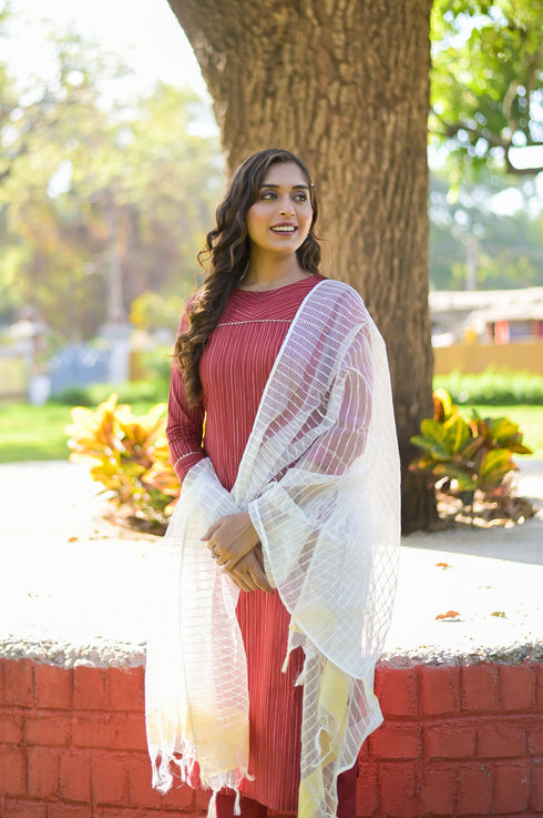 Red Cotton Blend Straight Kurta Suit Set