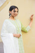 Embroidery Straight Green Kurta Pant & dupatta Set